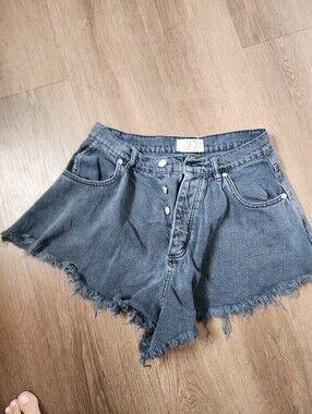 Free People Wide Leg Shorts